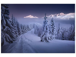 canvas-print-in-the-winter-x