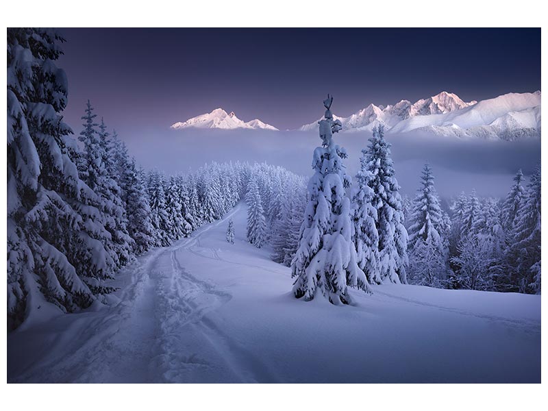 canvas-print-in-the-winter-x