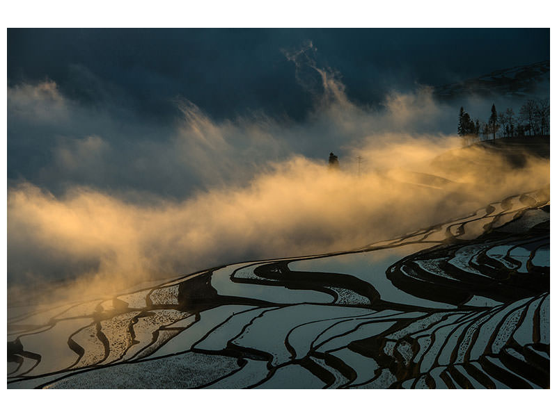 canvas-print-juxtaposition