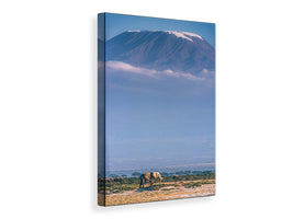 canvas-print-kilimanjaro-and-the-quiet-sentinels