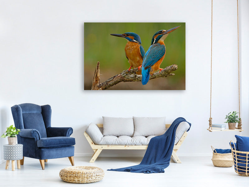 canvas-print-kingfisher