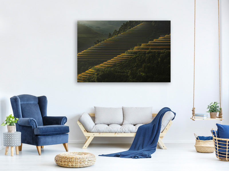 canvas-print-landing-fields-at-sunrise-beautiful-golden-light-shines