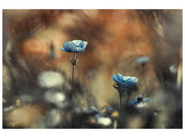 canvas-print-let-flowers-rule-the-world-x