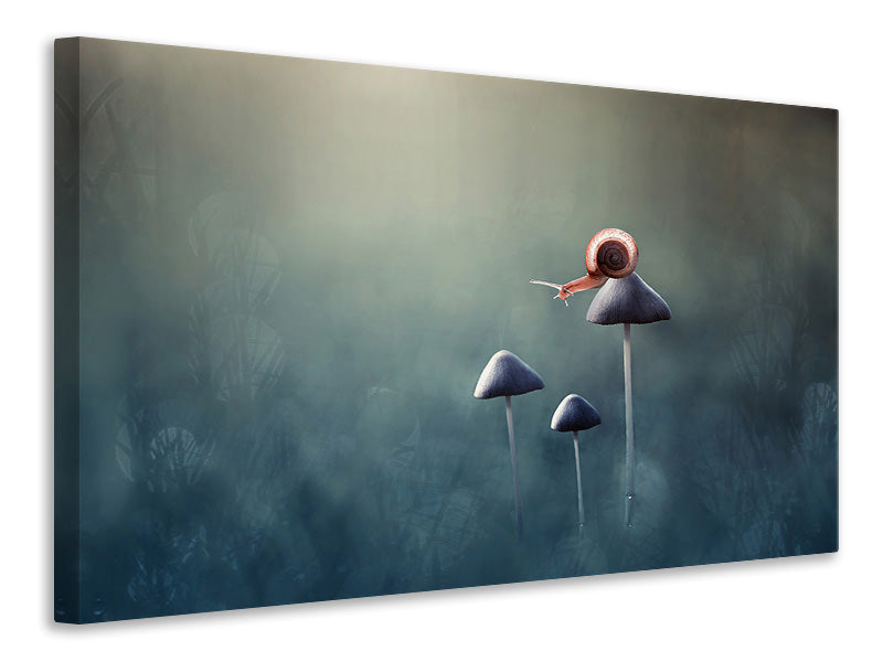 canvas-print-lonely
