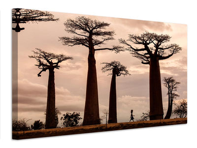 canvas-print-madagascar-x