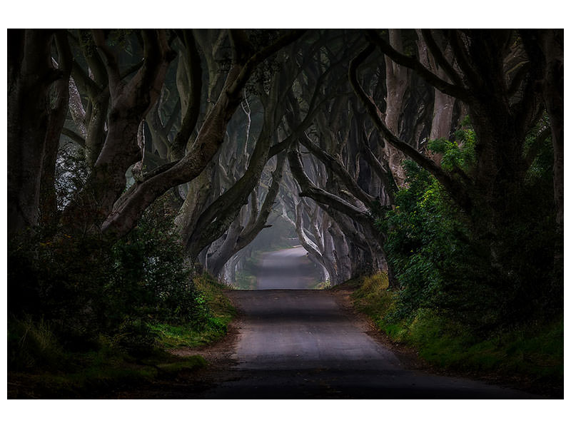 canvas-print-magic-road