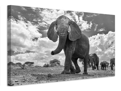 canvas-print-matriarch-march-x