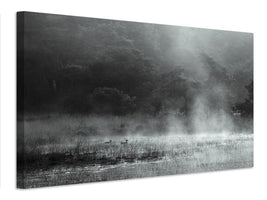 canvas-print-morning-at-the-moor-x