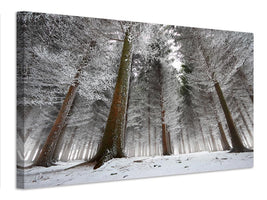 canvas-print-morning-in-the-forest-x