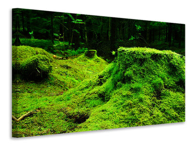 canvas-print-moss-in-the-forest