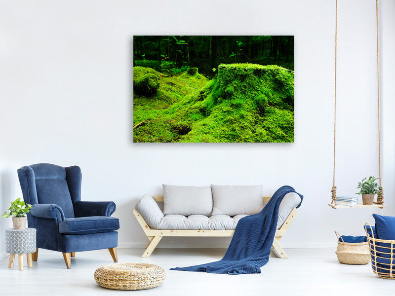 canvas-print-moss-in-the-forest