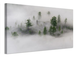 canvas-print-mystical-tree-island-x