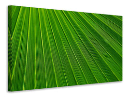 canvas-print-palm-stripe-i