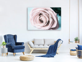 canvas-print-pastel-rose