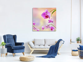 canvas-print-romantic-orchids