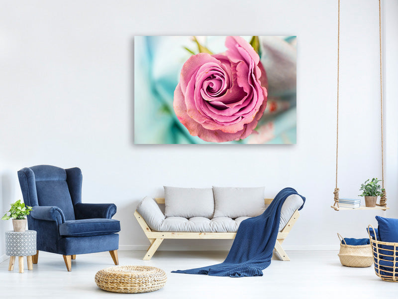 canvas-print-roseblossom-in-pink