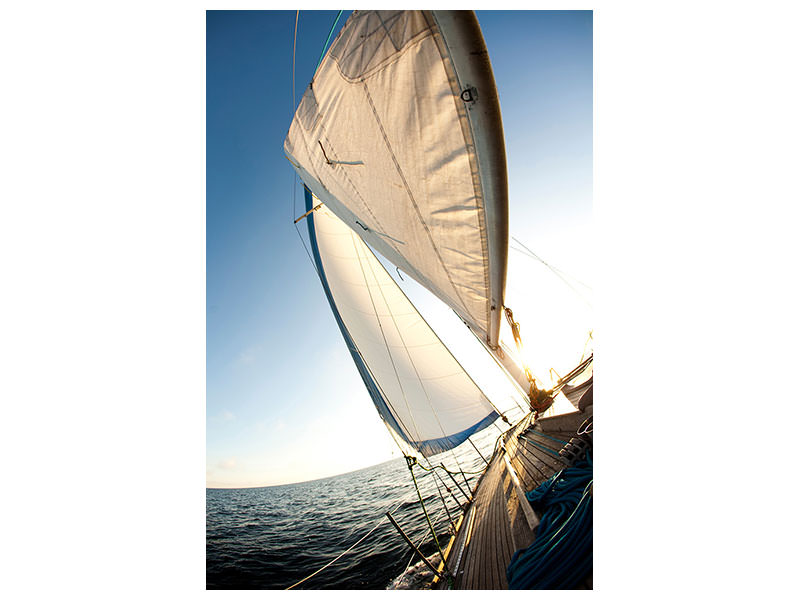 canvas-print-sailing