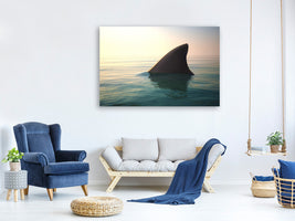 canvas-print-shark-fin