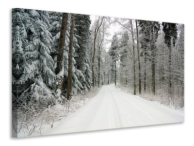 canvas-print-snow-in-the-forest