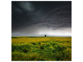 canvas-print-sommergewitter