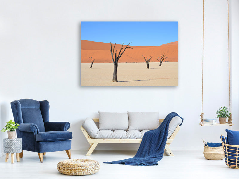 canvas-print-sossusvlei-namibia