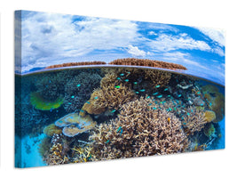 canvas-print-split-level-from-mayotte-reef-x