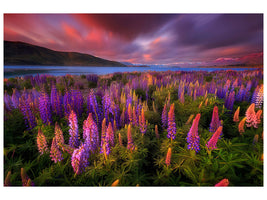 canvas-print-springtime-rush