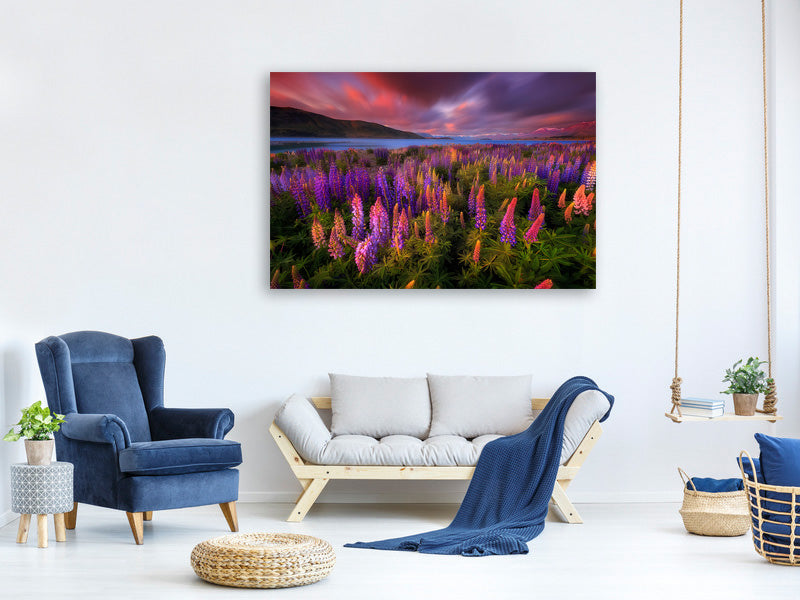canvas-print-springtime-rush