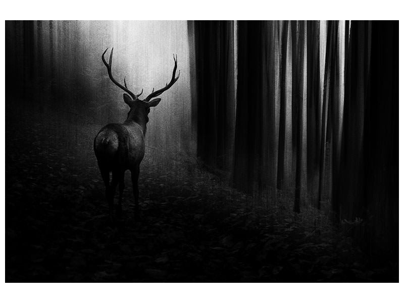 canvas-print-stag