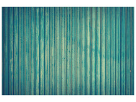 canvas-print-strip-of-nature