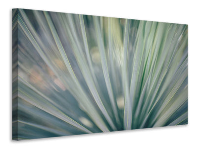 canvas-print-strip-of-plant