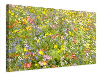 canvas-print-summer-field-flowers-x