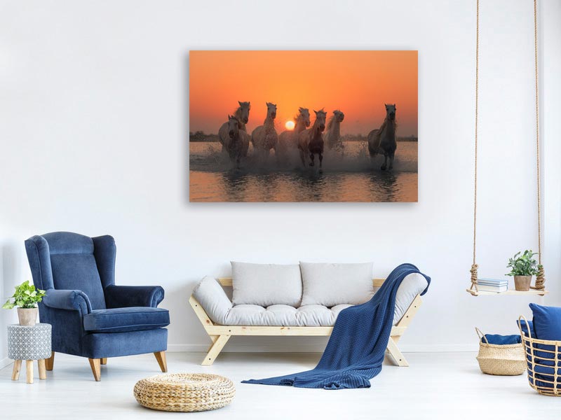 canvas-print-sunset-in-camargue-x