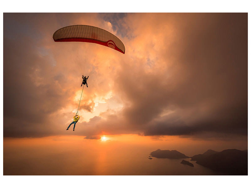 canvas-print-suspended-with-ferdi-toy-and-guillaume-galvani