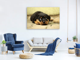 canvas-print-sweet-rottweiler-puppy