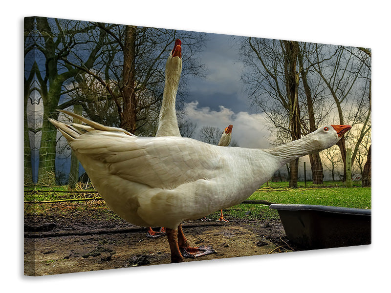 canvas-print-the-3-geese