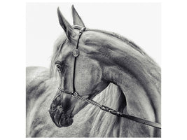 canvas-print-the-arabian-horse