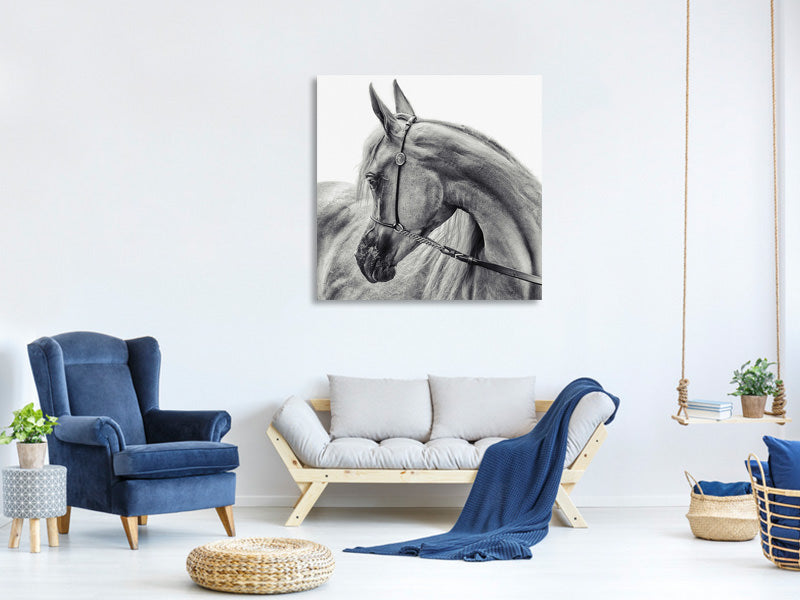 canvas-print-the-arabian-horse
