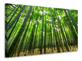 canvas-print-the-bamboo-forest
