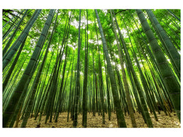canvas-print-the-bamboo-forest