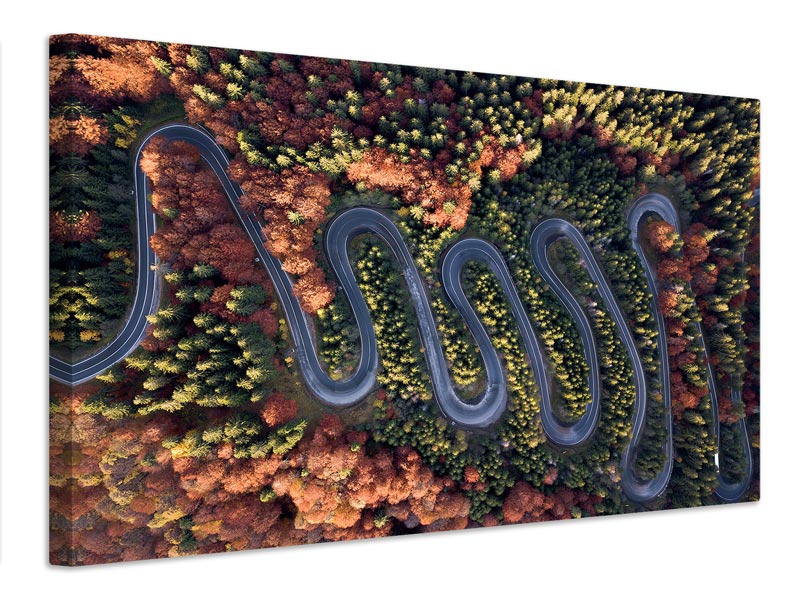 canvas-print-the-beautiful-road-x