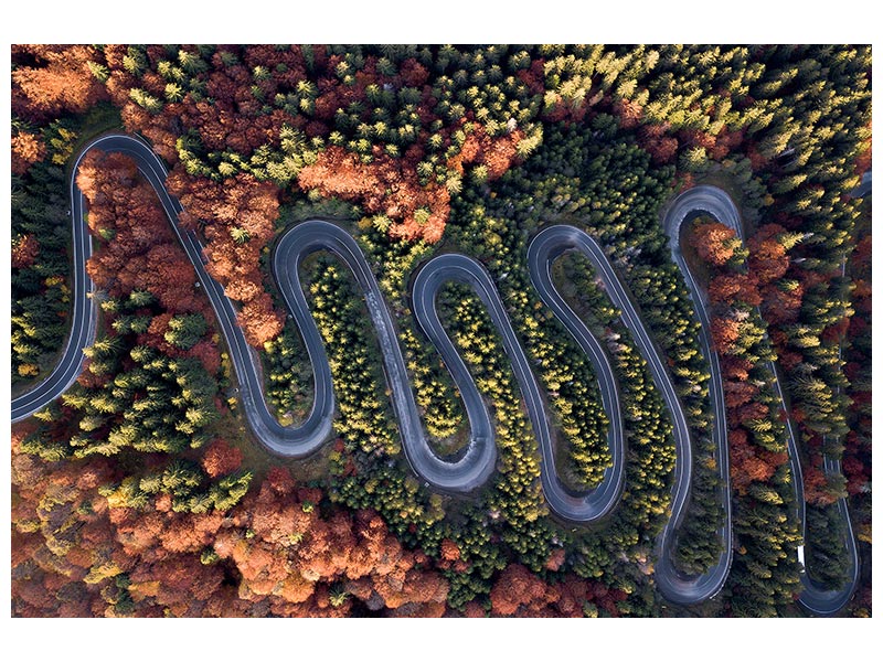 canvas-print-the-beautiful-road-x
