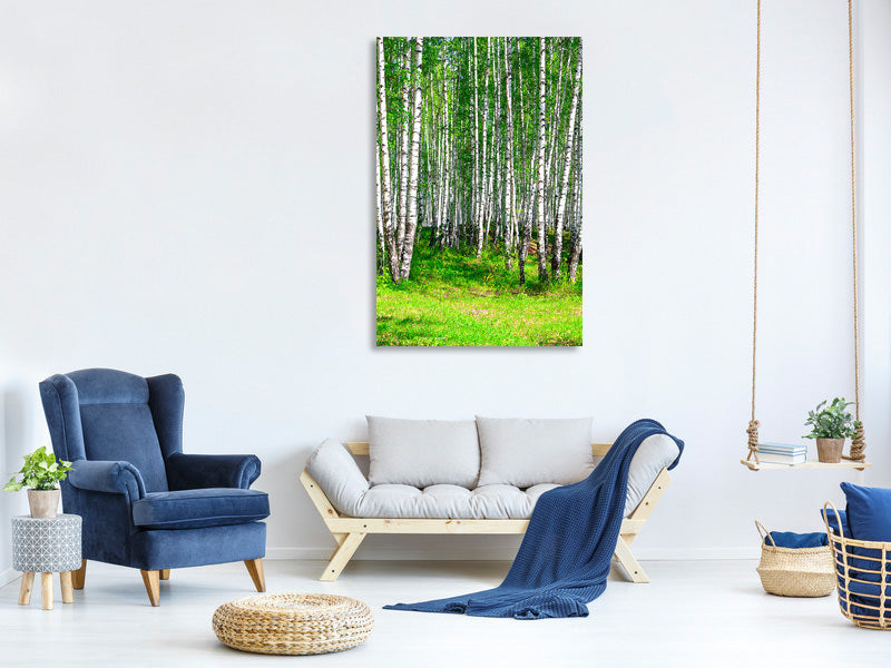 canvas-print-the-birch-forest-in-summer