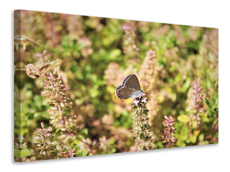 canvas-print-the-blue
