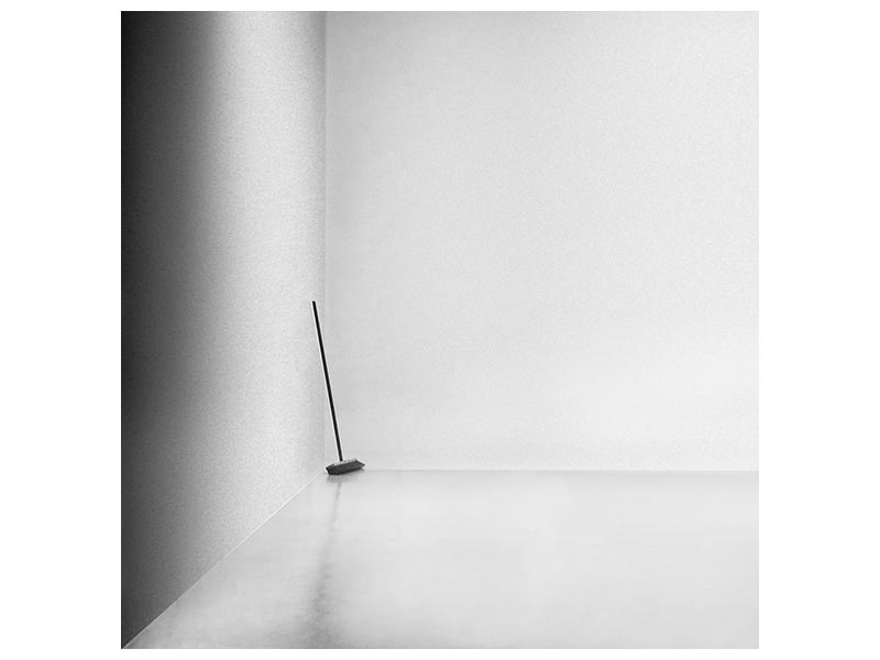 canvas-print-the-broom-x