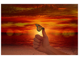 canvas-print-the-butterfly-in-the-evening-light