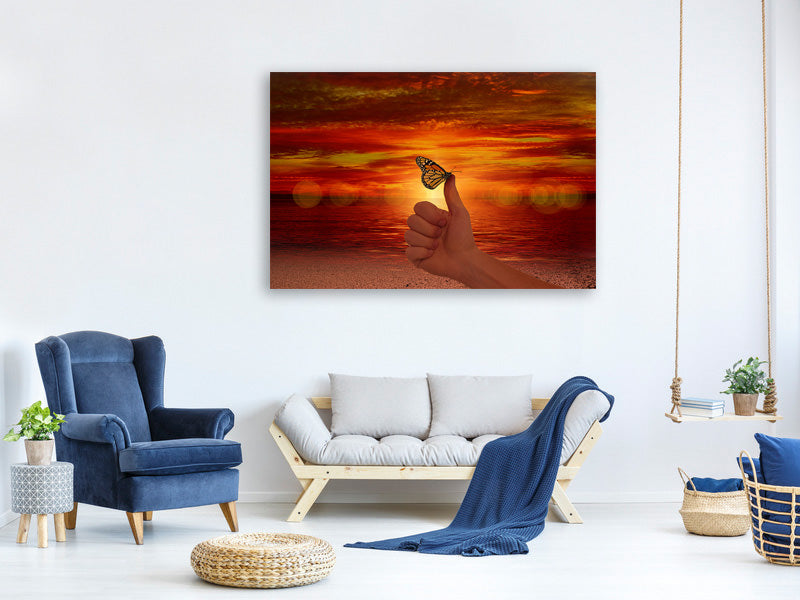 canvas-print-the-butterfly-in-the-evening-light