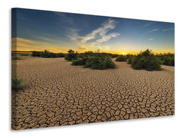 canvas-print-the-drought