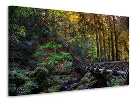 canvas-print-the-forest-bridge