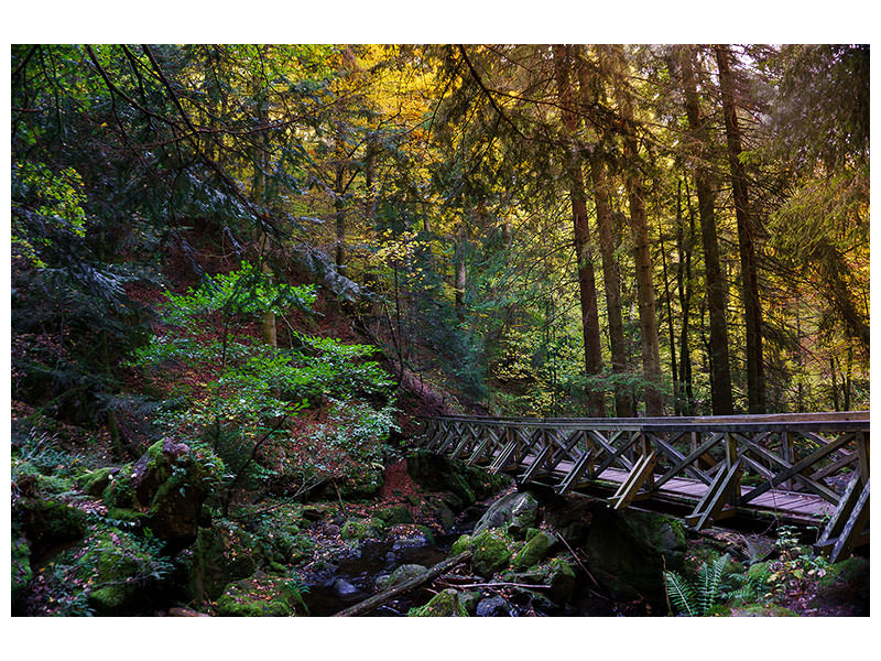 canvas-print-the-forest-bridge